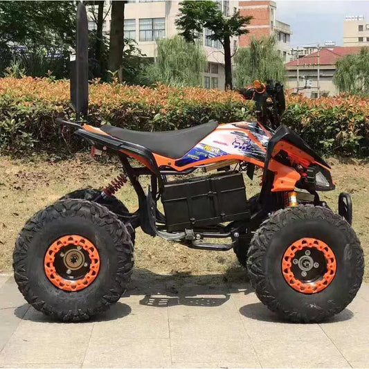 4 Wheels Off Road Adult Kids Quad Bike Electric ATV