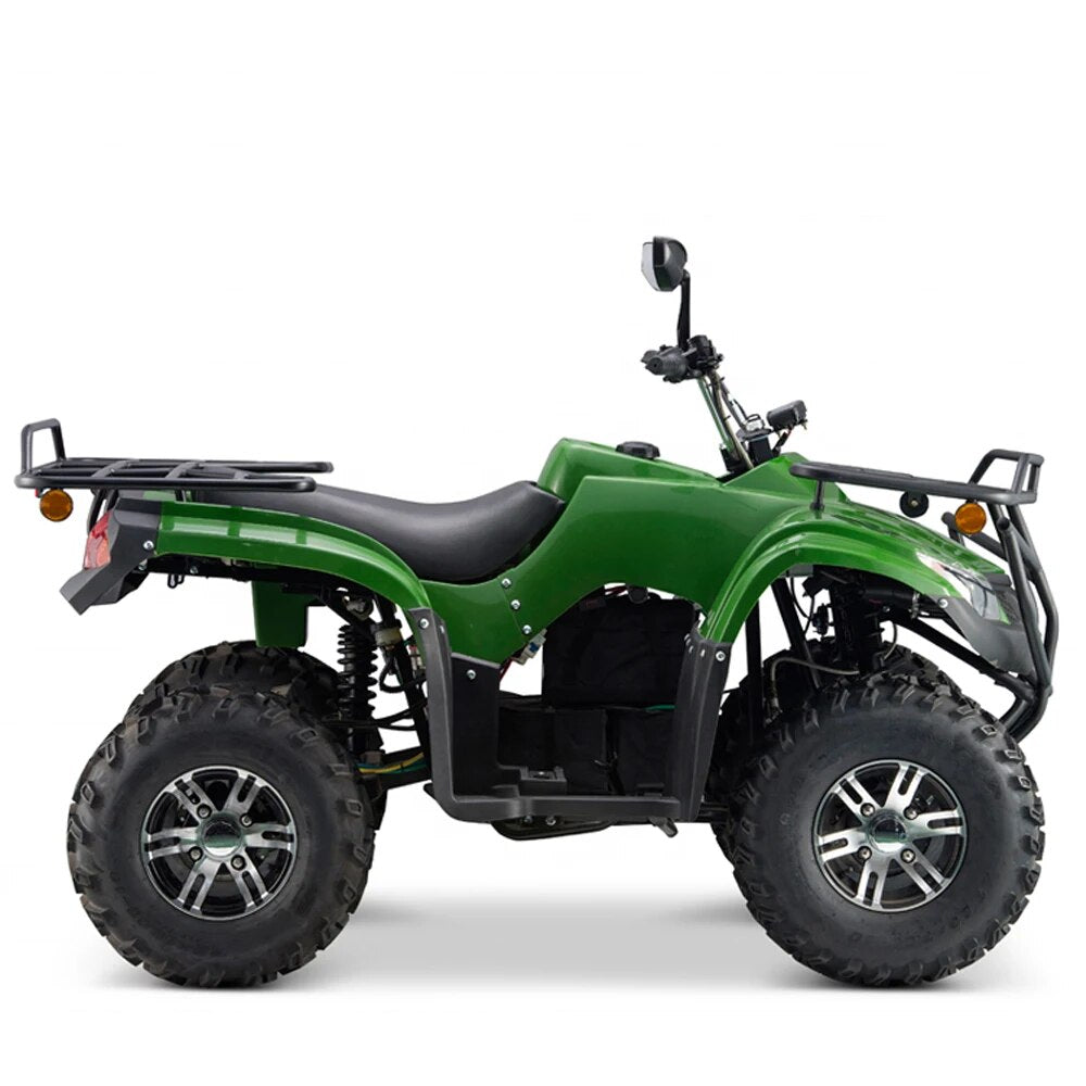 4 Wheels Driving Adult Electric ATV 4X4 Quad Bike