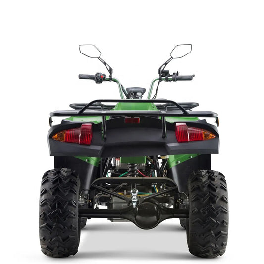 4 Wheels Driving Adult Electric ATV 4X4 Quad Bike