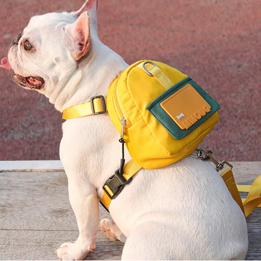 Cartoon backpack dog leash