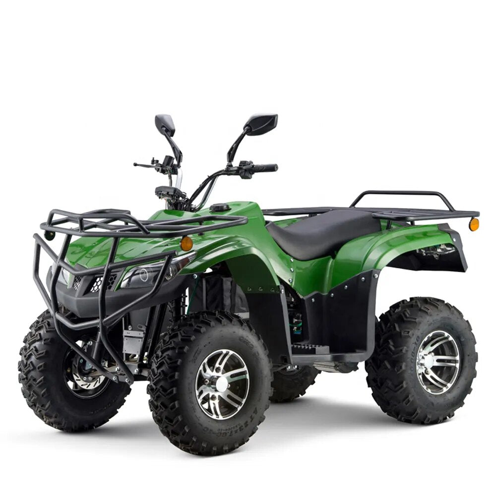 4 Wheels Driving Adult Electric ATV 4X4 Quad Bike