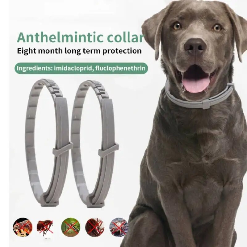 Extendable Pet Flea Collar Antiparasitic Necklace