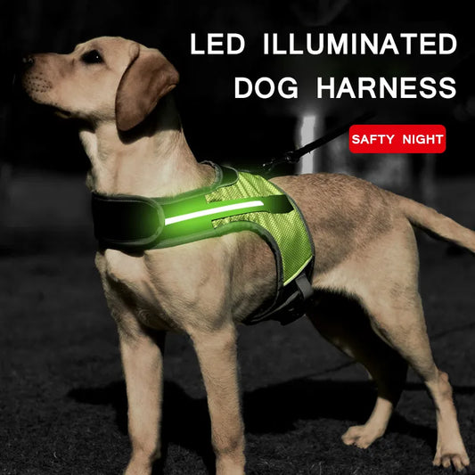 Dog Harness LED Luminous Light Up Pet Chest