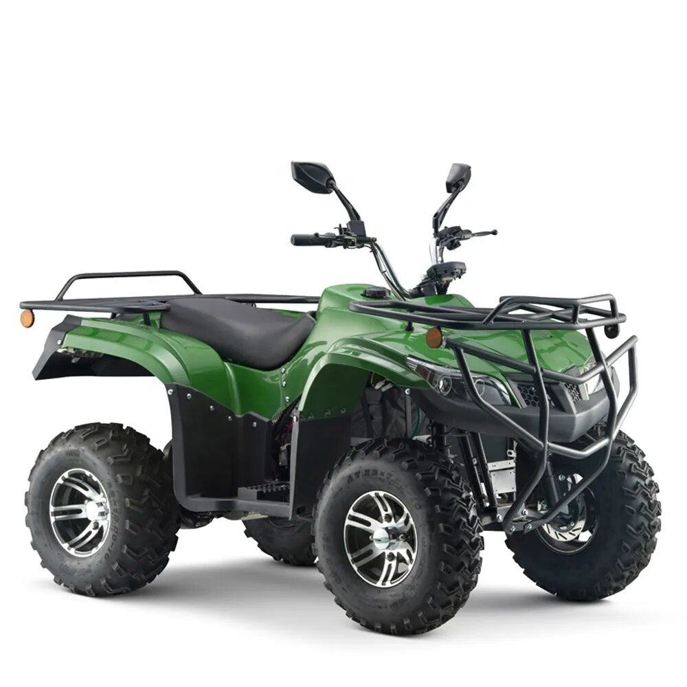 4 Wheels Driving Adult Electric ATV 4X4 Quad Bike