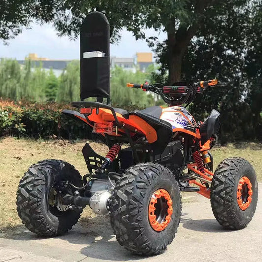 Electric Quad Bike High Quality 4 Wheeler Quad Bike